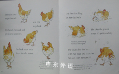My Hen Is Dancing (Read & Wonder)
