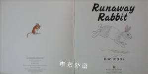 Runaway Rabbit (Flip-the-flap Books)