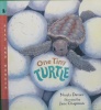 One Tiny Turtle (Read & Wonder)