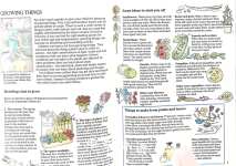 Holiday Activities For Your Children