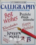 An Usborne Guide:Calligraphy From Beginner to Expert Caroline Young