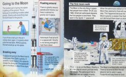What's Out in Space? (Usborne Starting Point Science)
