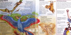 How does a bird fly?(Usborne Starting Point Science)