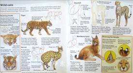 How to Draw Cats Young Artist Series