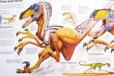 The Usborne Book of Dinosaurs