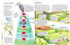 Ponds and Streams