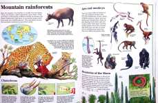 Mountain Wildlife (Usborne World Wildlife)