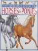 The Usborne Book of Horses & Ponies Young Nature Series