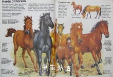 The Usborne Book of Horses & Ponies Young Nature Series