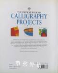 UsborneBook of Calligraphy Projects