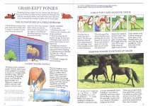 Grooming and Stable Management