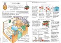 Grooming and Stable Management