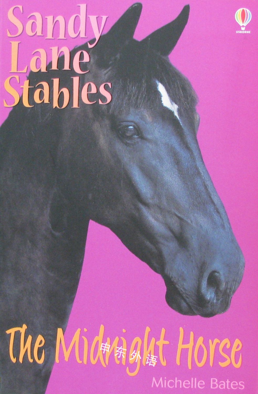 The Midnight Horse (Sandy Lane Stables Series)_文学_儿童图书_进口图书_进口书,原版书,绘本书