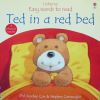 Ted in a Red Bed