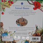 Animal Homes Usborne Life-the-Flap Book