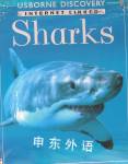 Sharks Discovery Program Jonathan Miller