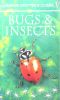 Usborne Spotter s Guides Bugs and Insects
