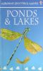 Ponds and Lakes （Usborne Spotters' Guides）