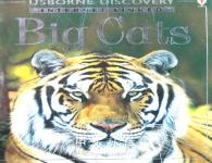 Usborne Discovery  Internet-linked:Big Cats Jonathan Sheikh-Miller