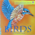 Birds (Usborne Pocket Nature with Internet Links) Usborne Publishing Ltd