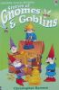 Stories of Gnomes and Goblins (Young Reading)