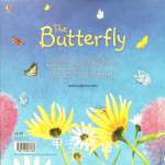 The Butterfly