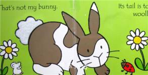 That is not my bunny(Usborne Touchy-Feely)