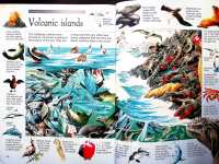 The Great Undersea Search