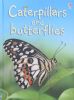 Caterpillars and Butterflies (Beginners)