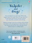 Usborne Beginners Information for young readers-Level 1: Tadpoles and Frogs