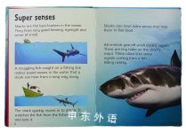 Sharks Usborne Beginners