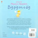 Big Pig on a Dig(Usborne Phonics Readers)