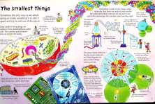 See Inside Science