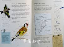 Usborne Naturetrail Birdwatching with Birdsongs