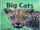 Usborne Discovery: Big Cats