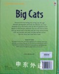 Usborne Discovery: Big Cats