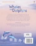 Usborne Discovery: Whales and dolphins