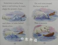 Polar Bears