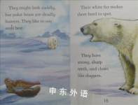 Polar Bears