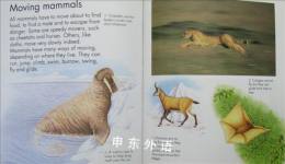 Mammals (First Starts)