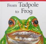 From Tadpole to Frog (Lifecycles) David Stewart