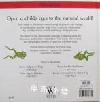 From Tadpole to Frog (Lifecycles)