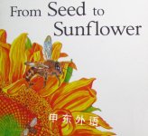 From Seed To Sunflower  Gerald Legg
