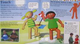 YOUD never BELIEVE IT BUTflies can taste with their feet and other facts about senses