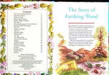 The Animals of Farthing Wood