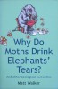 Why Do Moths Drink Elephants' Tears?: And other zoological curiosities