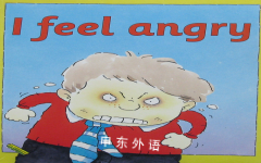 I Feel Angry (Your Emotions)