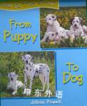 From Puppy to Dog (How Do They Grow?) Jillian Powell