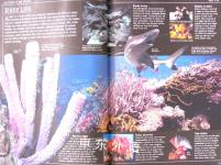 Oceans DK Guide