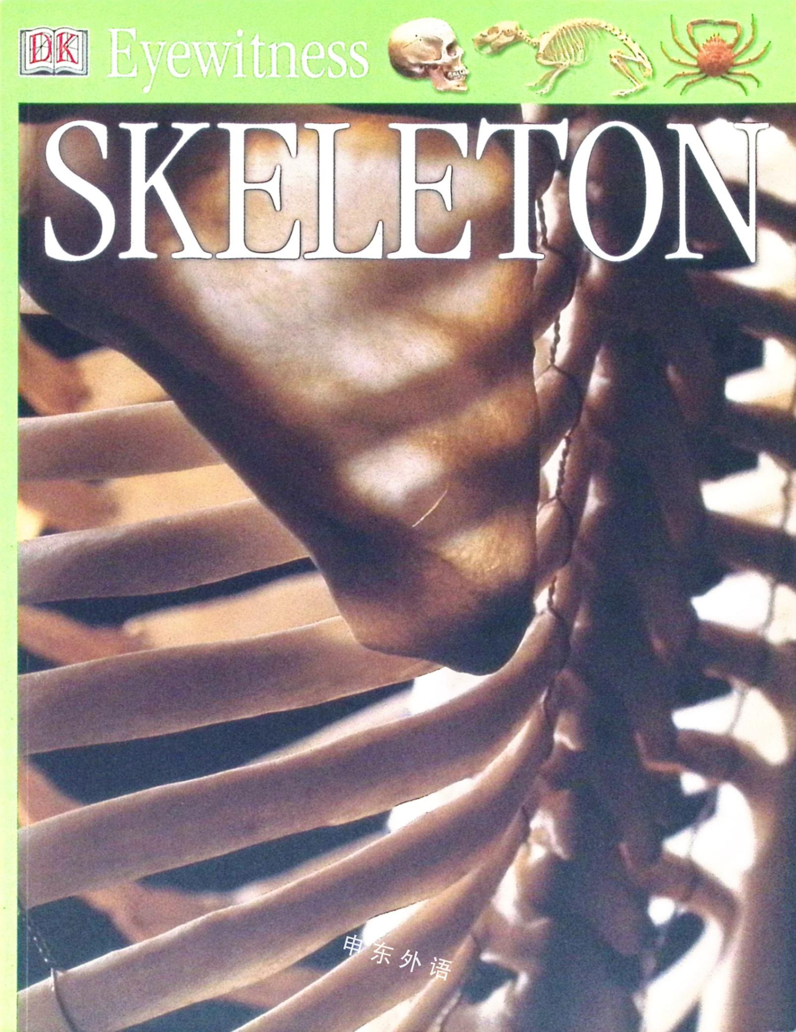 skeleton-eyewitness